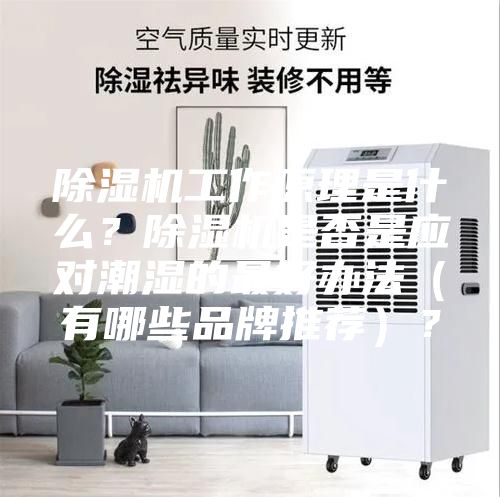 除湿机工作原理是什么?除湿机是否是应对潮湿的最好办法(有哪些品牌推荐)?