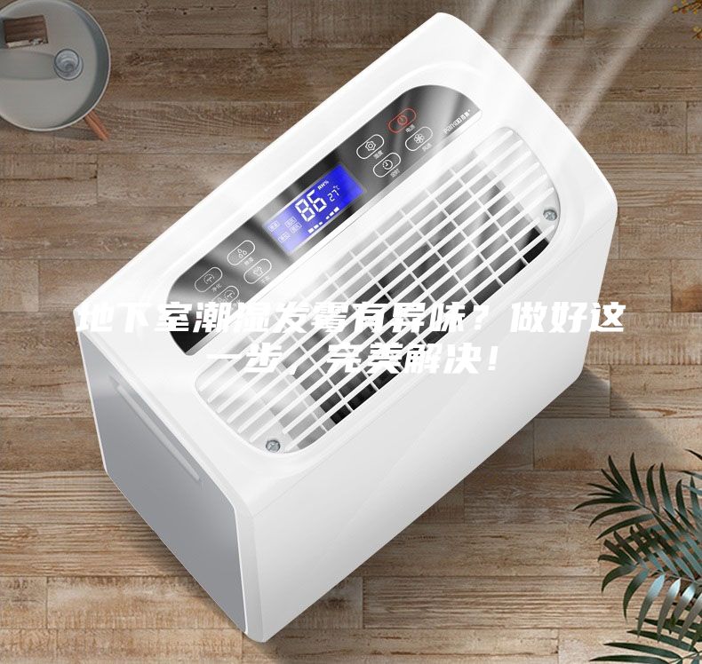 地下室潮湿发霉有异味？做好这一步，完美解决！