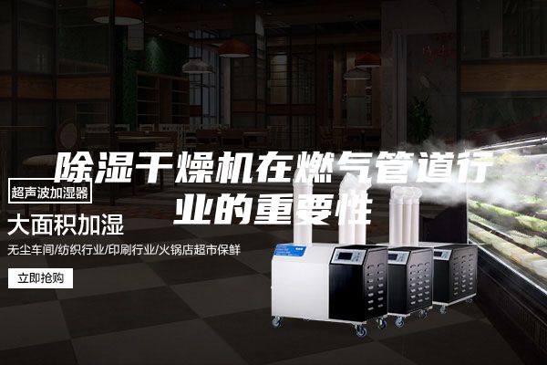 除湿干燥机在燃气管道行业的重要性