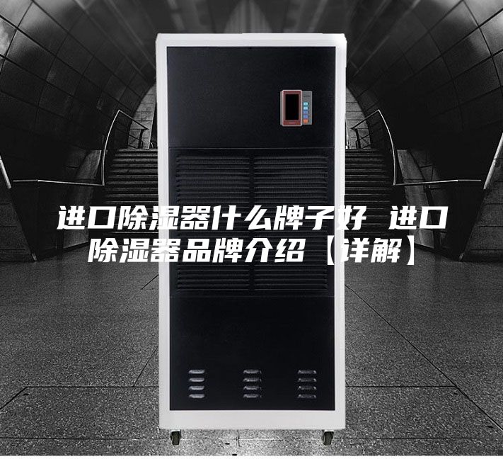 进口除湿器什么牌子好 进口除湿器品牌介绍【详解】