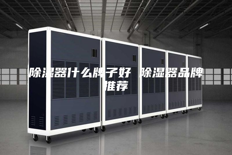 除湿器什么牌子好 除湿器品牌推荐