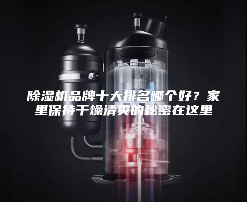 除湿机品牌十大排名哪个好?家里保持干燥清爽的秘密在这里