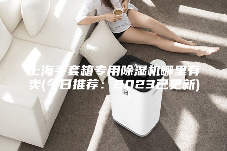 上海手套箱专用除湿机哪里有卖(今日推荐：2023已更新)