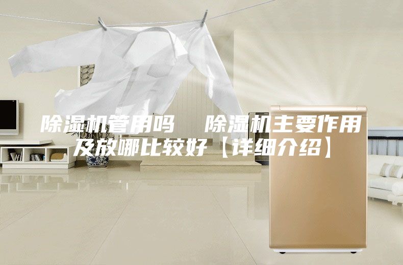除湿机管用吗  除湿机主要作用及放哪比较好【详细介绍】