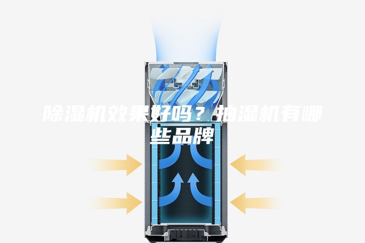 除湿机效果好吗？抽湿机有哪些品牌