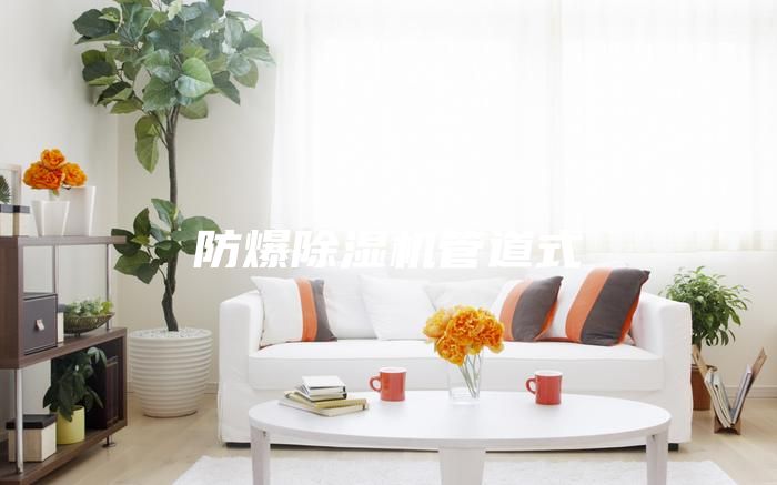 防爆除湿机管道式