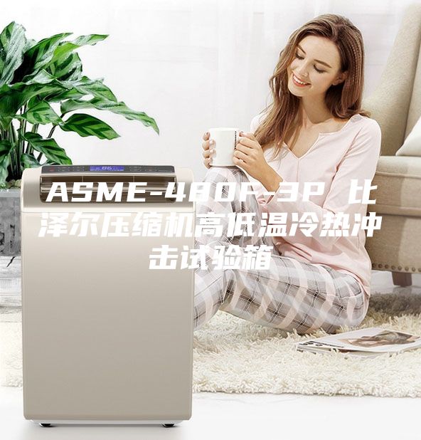 ASME-480F-3P 比泽尔压缩机高低温冷热冲击试验箱