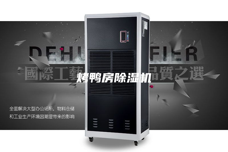 烤鸭房除湿机