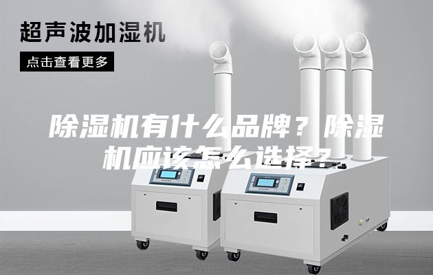除湿机有什么品牌?除湿机应该怎么选择?