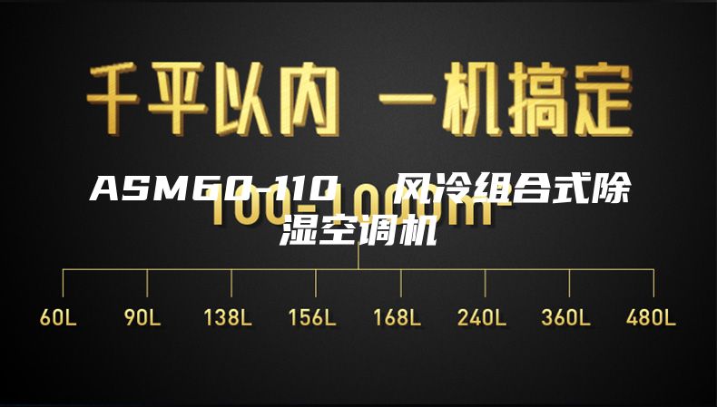 ASM60-110  风冷组合式除湿空调机