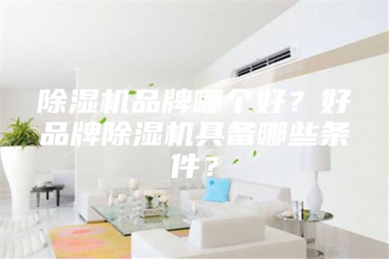 除湿机品牌哪个好？好品牌除湿机具备哪些条件？