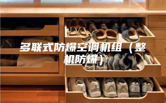 多联式防爆空调机组（整机防爆）