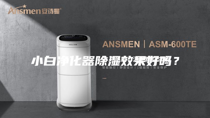 小白净化器除湿效果好吗？
