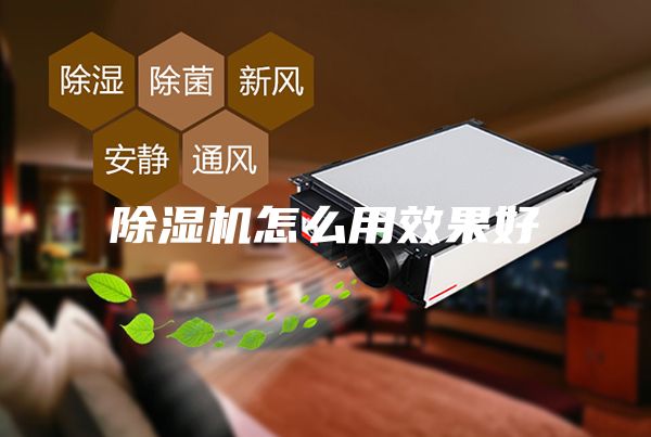 除湿机怎么用效果好