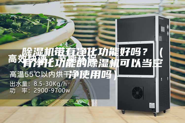 除湿机带有净化功能好吗？（有净化功能的除湿机可以当空净使用吗）