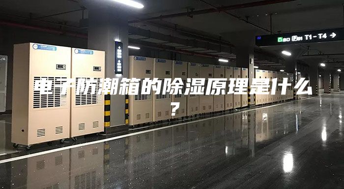 电子防潮箱的除湿原理是什么？
