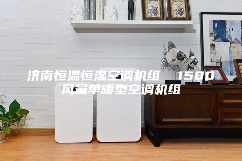 济南恒温恒湿空调机组 1500风量单暖型空调机组