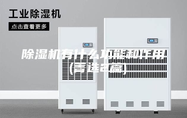 除湿机有什么功能和作用 (菁选2篇)
