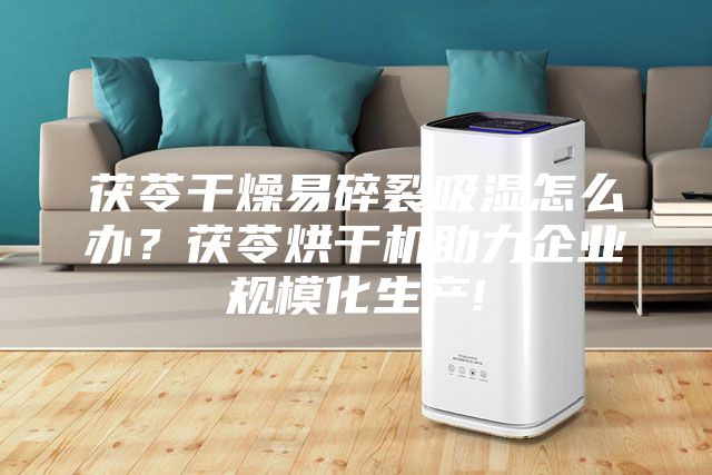 茯苓干燥易碎裂吸湿怎么办？茯苓烘干机助力企业规模化生产!