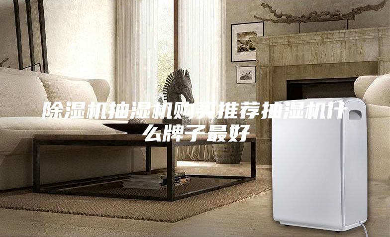 除湿机抽湿机购买推荐抽湿机什么牌子最好