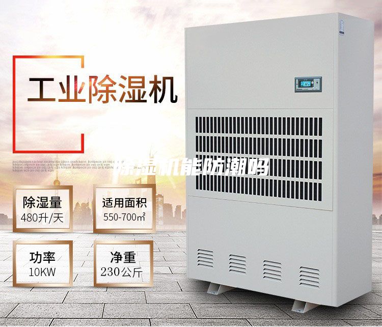 除湿机能防潮吗