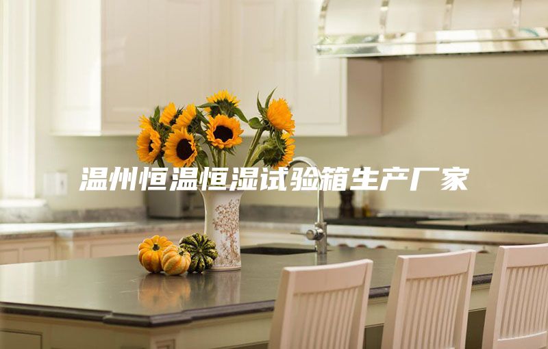 温州恒温恒湿试验箱生产厂家
