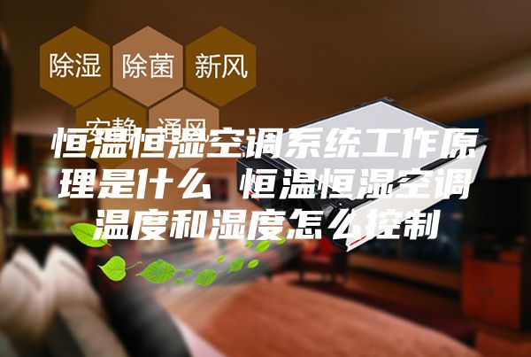 恒温恒湿空调系统工作原理是什么 恒温恒湿空调温度和湿度怎么控制