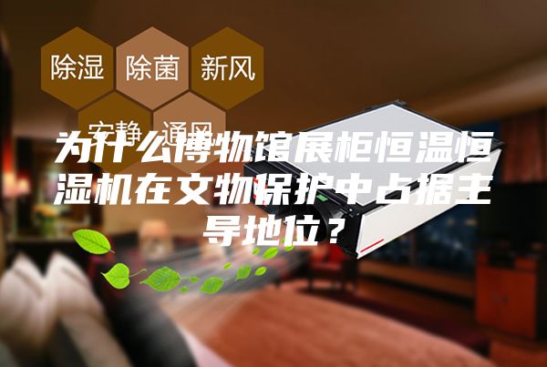 为什么博物馆展柜恒温恒湿机在文物保护中占据主导地位?