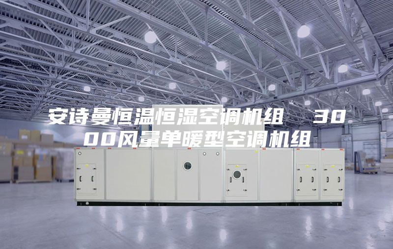 安诗曼恒温恒湿空调机组  3000风量单暖型空调机组