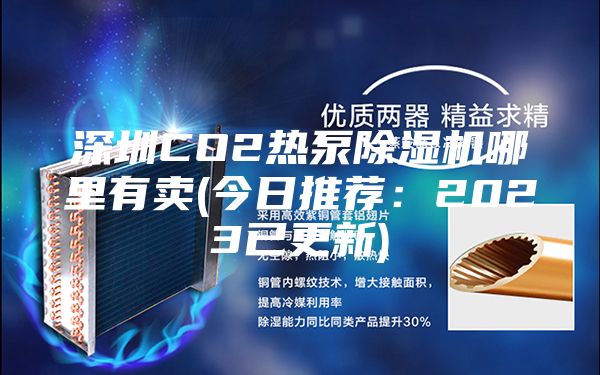 深圳CO2热泵除湿机哪里有卖(今日推荐：2023已更新)