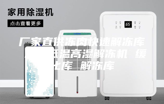 厂家直供冻肉快速解冻库 冻肉低温高湿解冻机 缓化库 解冻库