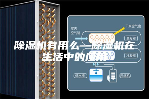 除湿机有用么—除湿机在生活中的应用