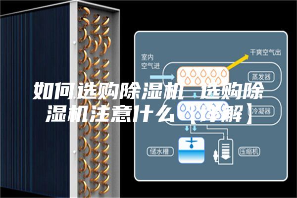 如何选购除湿机 选购除湿机注意什么【详解】