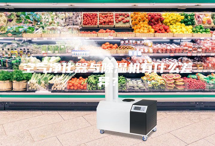 空气净化器与除湿机有什么差异？