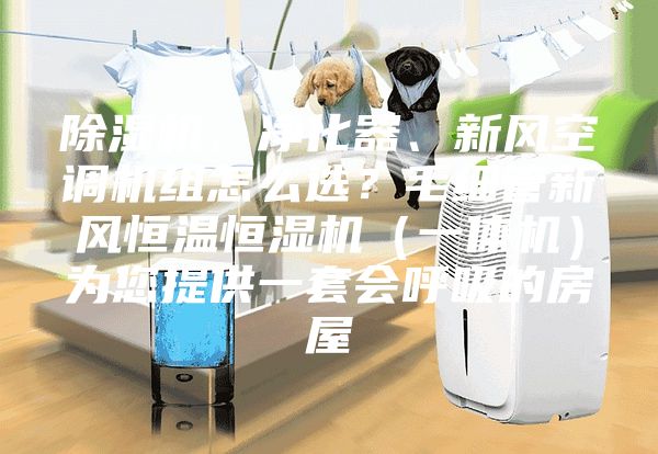 除湿机、净化器、新风空调机组怎么选?毛细管新风恒温恒湿机(一体机)为您提供一套会呼吸的房屋