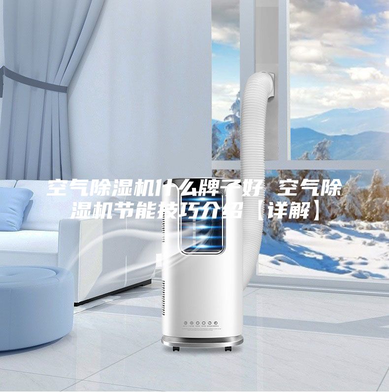 空气除湿机什么牌子好 空气除湿机节能技巧介绍【详解】