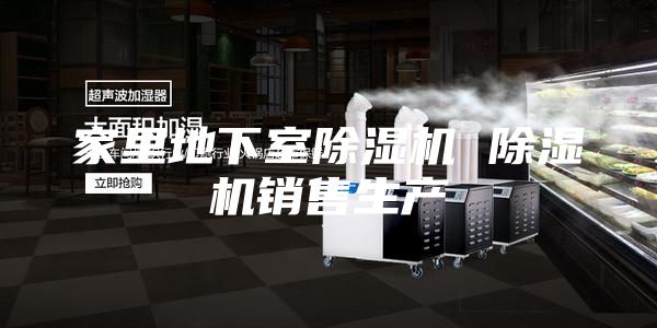 家里地下室除湿机 除湿机销售生产