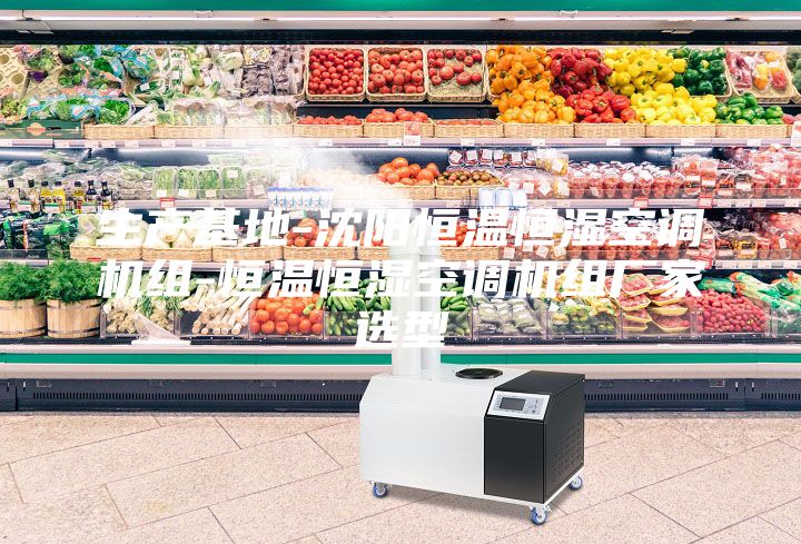 生产基地-沈阳恒温恒湿空调机组-恒温恒湿空调机组厂家选型