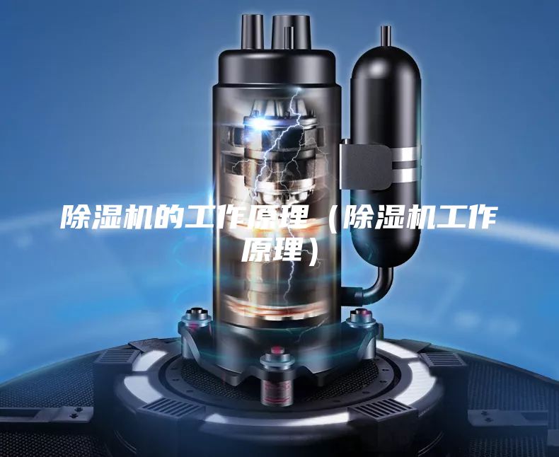 除湿机的工作原理(除湿机工作原理)