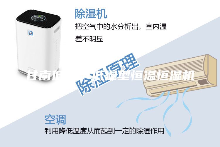 甘南低温/低湿型恒温恒湿机