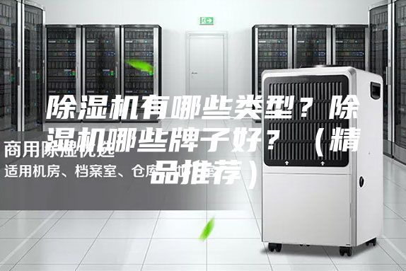 除湿机有哪些类型？除湿机哪些牌子好？（精品推荐）