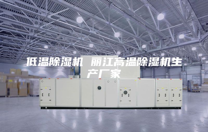 低温除湿机 丽江高温除湿机生产厂家