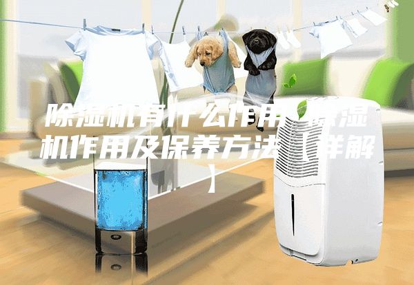 除湿机有什么作用 除湿机作用及保养方法【详解】