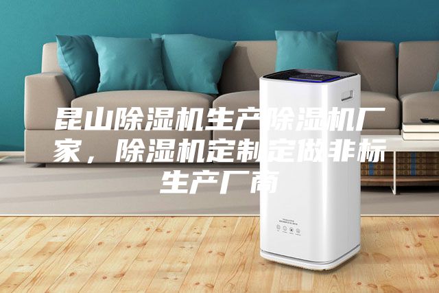 昆山除湿机生产除湿机厂家，除湿机定制定做非标生产厂商