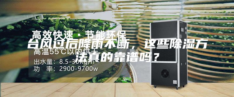 台风过后降雨不断，这些除湿方法真的靠谱吗？