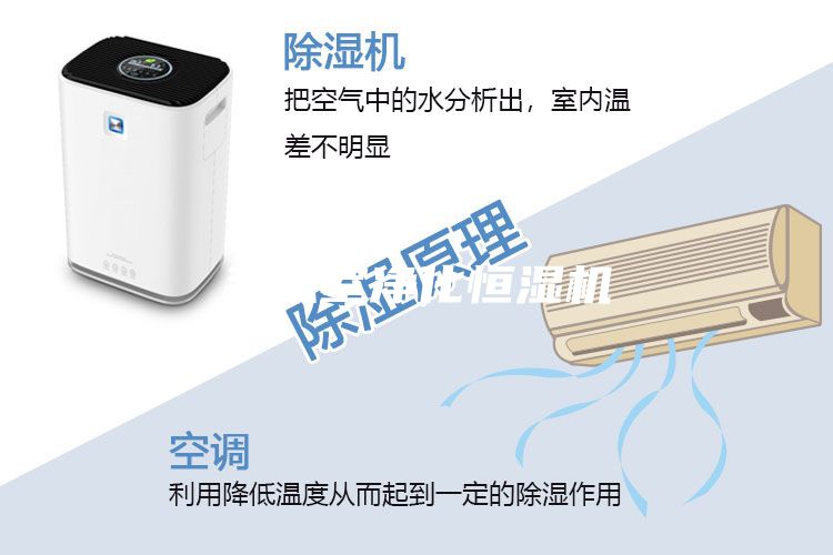 手术室净化恒湿机