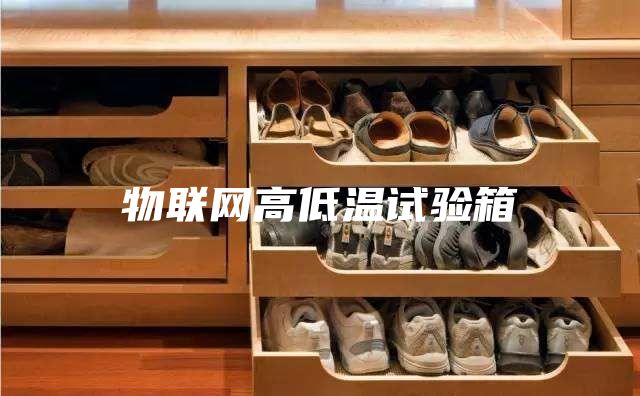 物联网高低温试验箱