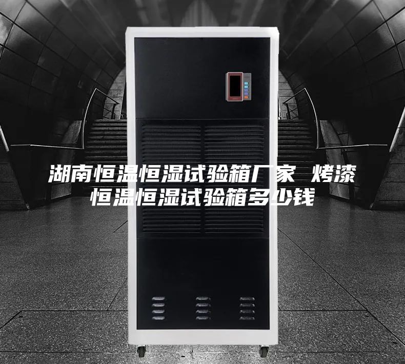 湖南恒温恒湿试验箱厂家 烤漆恒温恒湿试验箱多少钱