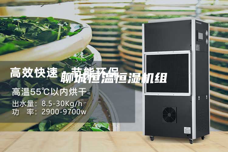 聊城恒温恒湿机组