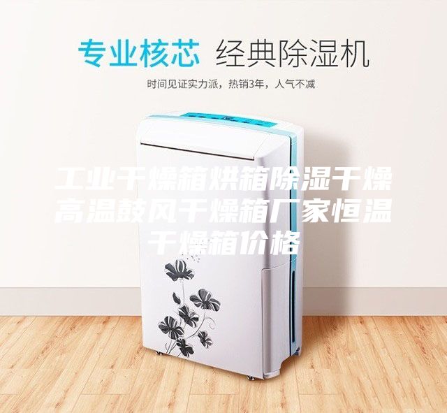 工业干燥箱烘箱除湿干燥高温鼓风干燥箱厂家恒温干燥箱价格